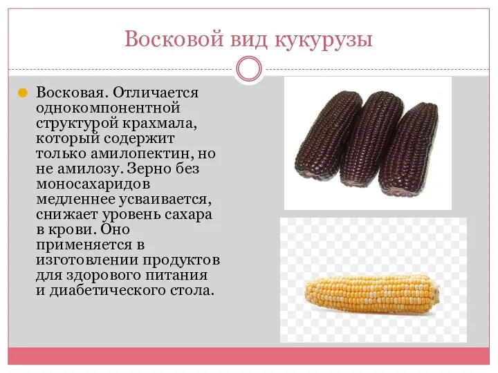 Восковой вид кукурузы Восковая. Отличается однокомпонентной структурой крахмала, который содержит только