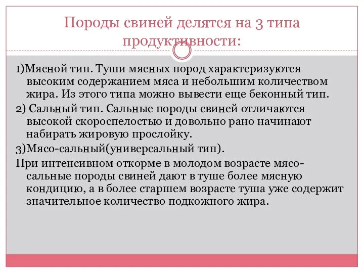 Породы свиней делятся на 3 типа продуктивности: 1)Мясной тип. Туши мясных