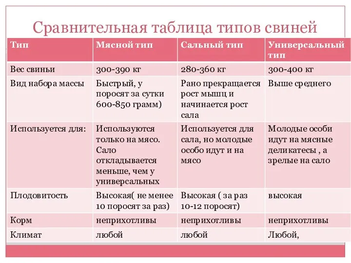 Сравнительная таблица типов свиней