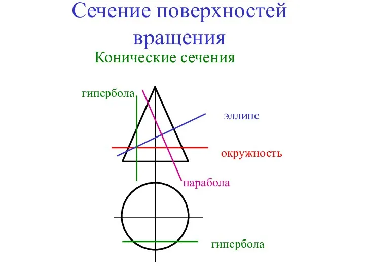 Сечение поверхностей вращения Конические сечения