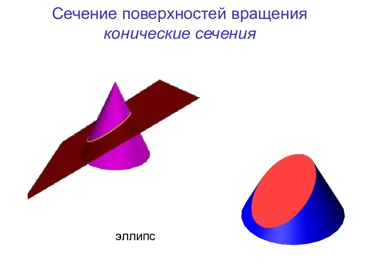 Сечение поверхностей вращения конические сечения эллипс