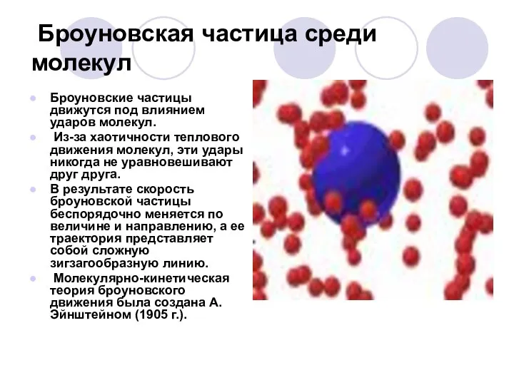 Броуновская частица среди молекул Броуновские частицы движутся под влиянием ударов молекул.