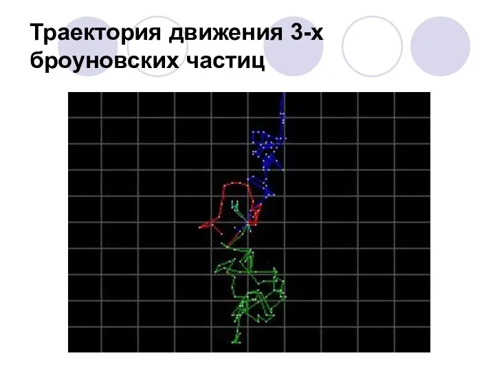 Траектория движения 3-х броуновских частиц