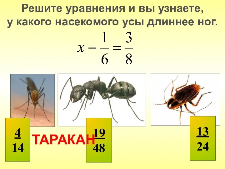 Решите уравнения и вы узнаете, у какого насекомого усы длиннее ног. ТАРАКАН