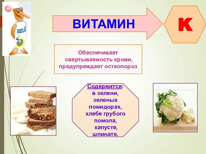 ВИТАМИН K Обеспечивает свертываемость крови, предупреждает остеопороз Содержится: в зелени, зеленых