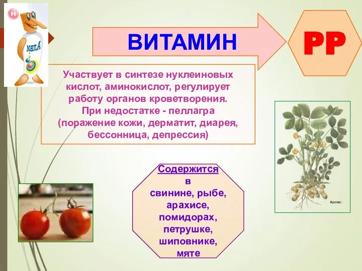 ВИТАМИН PP Участвует в синтезе нуклеиновых кислот, аминокислот, регулирует работу органов