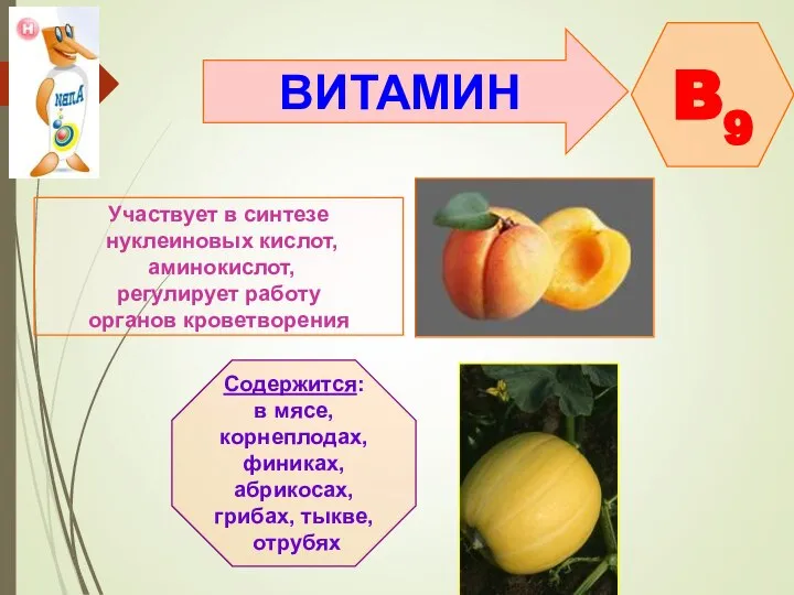 ВИТАМИН B9 Участвует в синтезе нуклеиновых кислот, аминокислот, регулирует работу органов