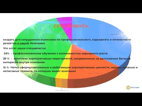 СУТЬ ПРОЕКТА: создать для сотрудников возможности профессионального, карьерного и личностного развития