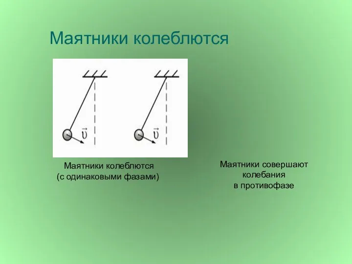 Маятники колеблются Маятники колеблются (с одинаковыми фазами) Маятники совершают колебания в противофазе