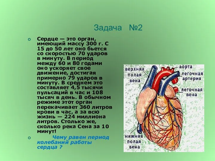 Задача №2 Сердце — это орган, имеющий массу 300 г. С