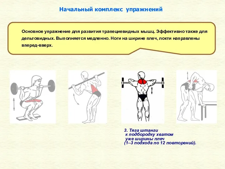 3. Тяга штанги к подбородку хватом уже ширины плеч (1–3 подхода