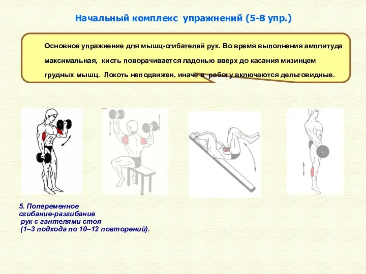 5. Попеременное сгибание-разгибание рук с гантелями стоя (1–3 подхода по 10–12