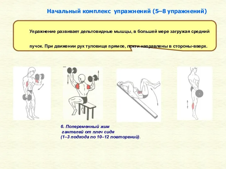 6. Попеременный жим гантелей от плеч сидя (1–3 подхода по 10–12