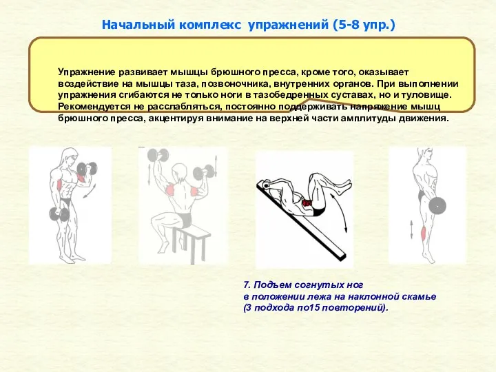 7. Подъем согнутых ног в положении лежа на наклонной скамье (3