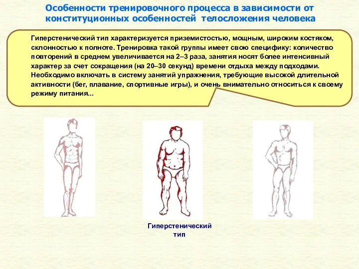 Гиперстенический тип Гиперстенический тип характеризуется приземистостью, мощным, широким костяком, склонностью к