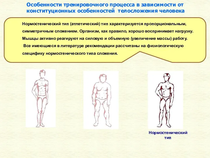 Нормостенический тип Нормостенический тип (атлетический) тип характеризуется пропорциональным, симметричным сложением. Организм,