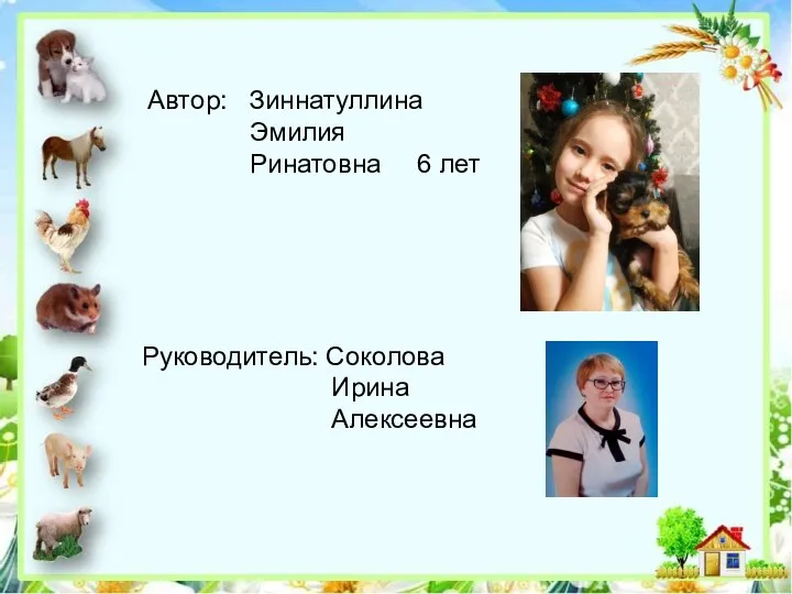 Автор: Зиннатуллина Эмилия Ринатовна 6 лет Руководитель: Соколова Ирина Алексеевна