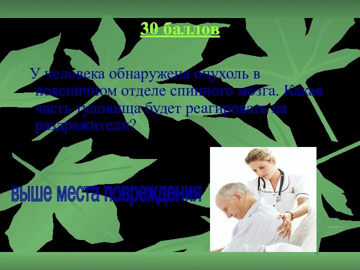 30 баллов У человека обнаружена опухоль в поясничном отделе спинного мозга.