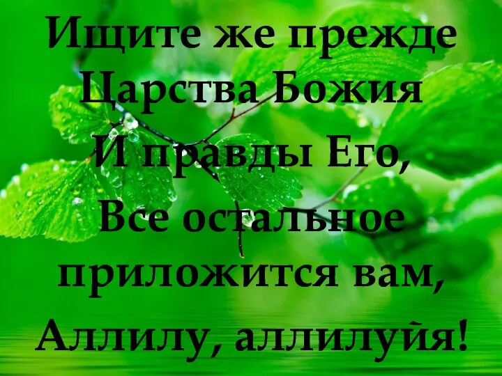 Ищите же прежде Царства Божия И правды Его, Все остальное приложится вам, Аллилу, аллилуйя!