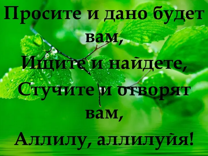 Просите и дано будет вам, Ищите и найдете, Стучите и отворят вам, Аллилу, аллилуйя!