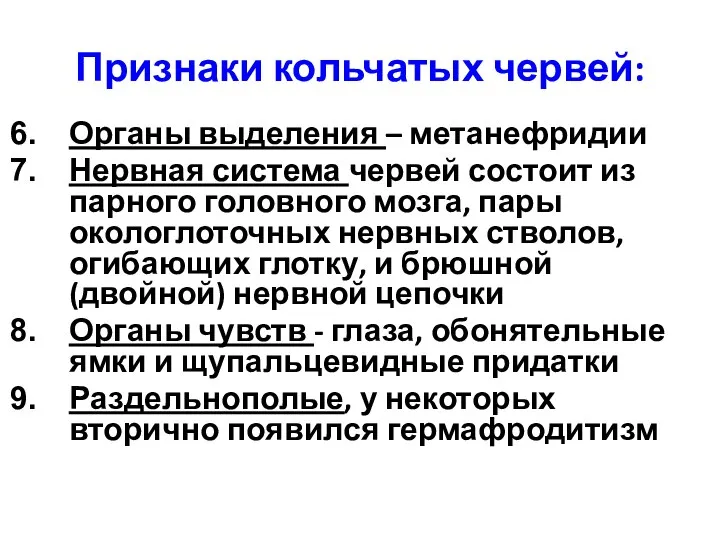 Признаки кольчатых червей: Органы выделения – метанефридии Нервная система червей состоит