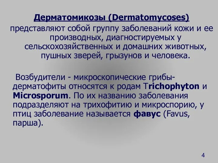 Дерматомикозы (Dermatomycoses) представляют собой группу заболеваний кожи и ее производных, диагностируемых