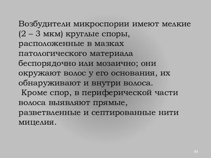 Возбудители микроспории имеют мелкие (2 – 3 мкм) круглые споры, расположенные