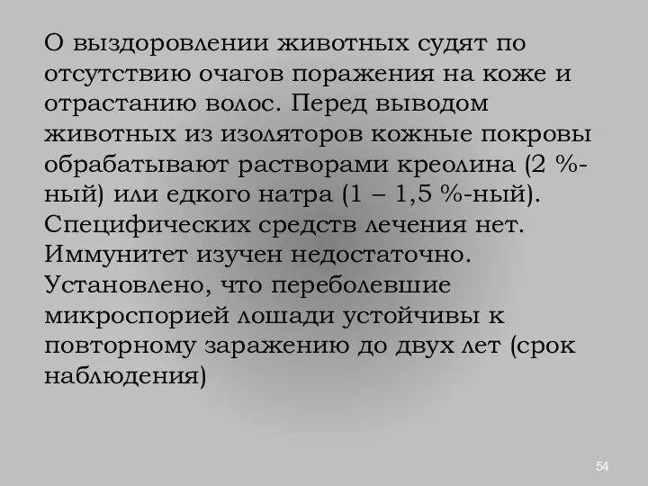 О выздоровлении животных судят по отсутствию очагов поражения на коже и