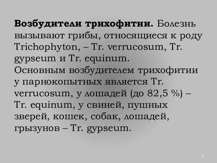 Возбудители трихофитии. Болезнь вызывают грибы, относящиеся к роду Trichophyton, – Tr.