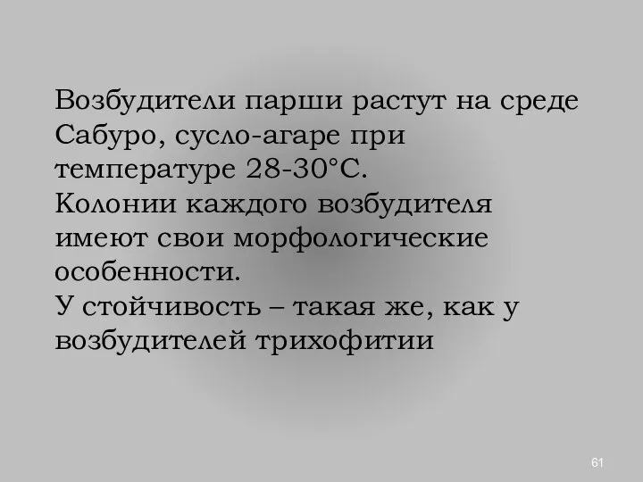 Возбудители парши растут на среде Сабуро, сусло-агаре при температуре 28-30°С. Колонии