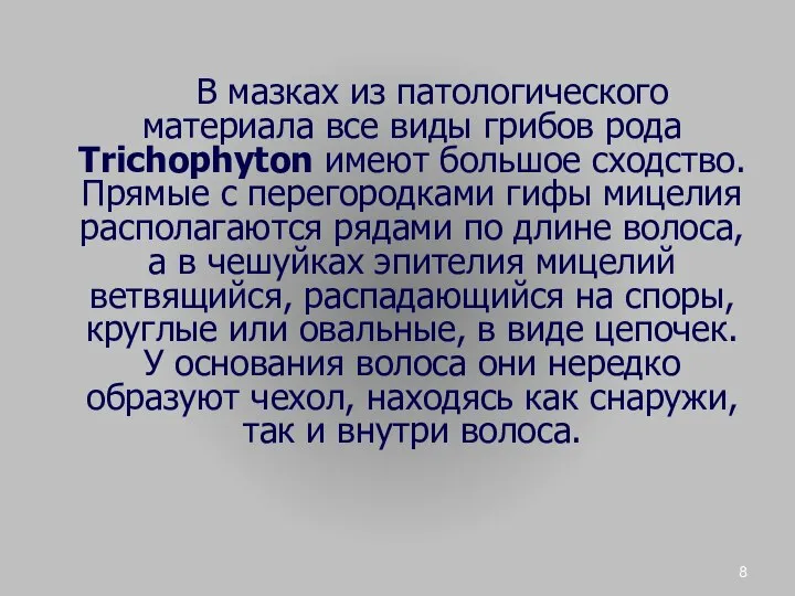 В мазках из патологического материала все виды грибов рода Trichophyton имеют