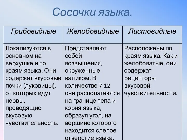 Сосочки языка.