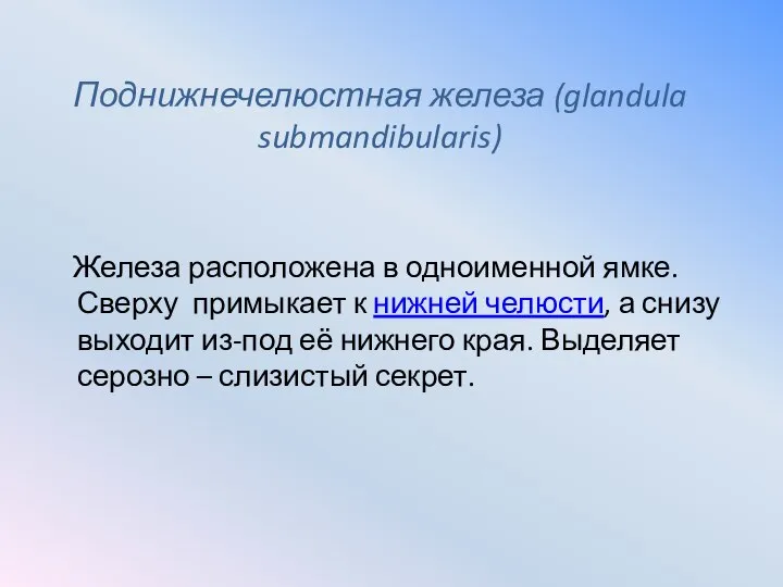 Поднижнечелюстная железа (glandula submandibularis) Железа расположена в одноименной ямке. Сверху примыкает