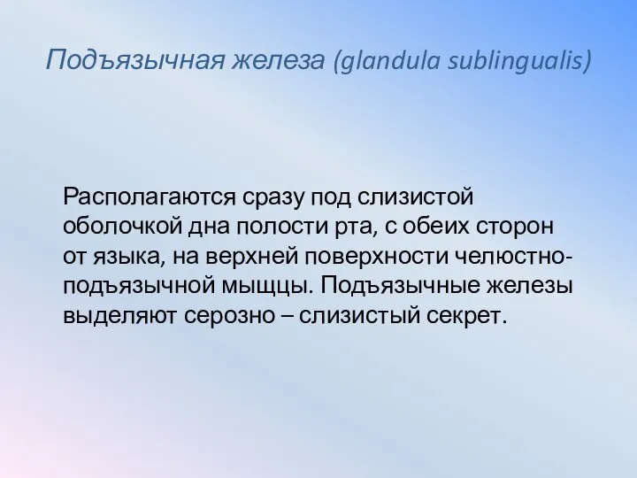 Подъязычная железа (glandula sublingualis) Располагаются сразу под слизистой оболочкой дна полости