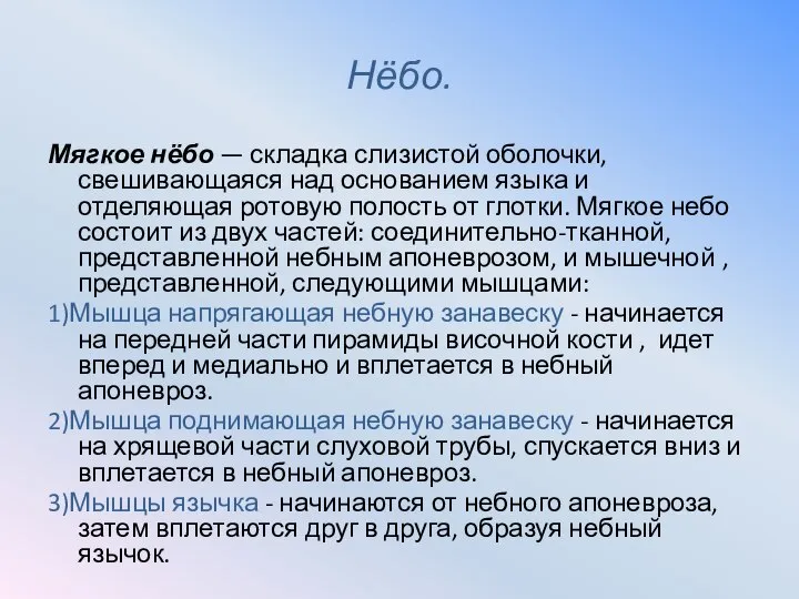 Нёбо. Мягкое нёбо — складка слизистой оболочки, свешивающаяся над основанием языка