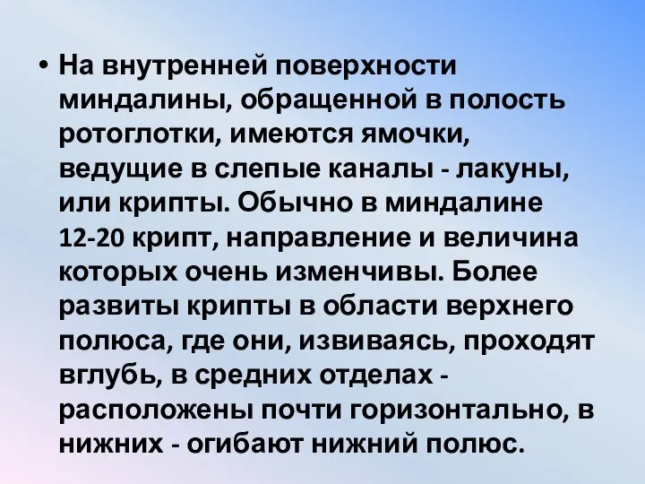 На внутренней поверхности миндалины, обращенной в полость ротоглотки, имеются ямочки, ведущие