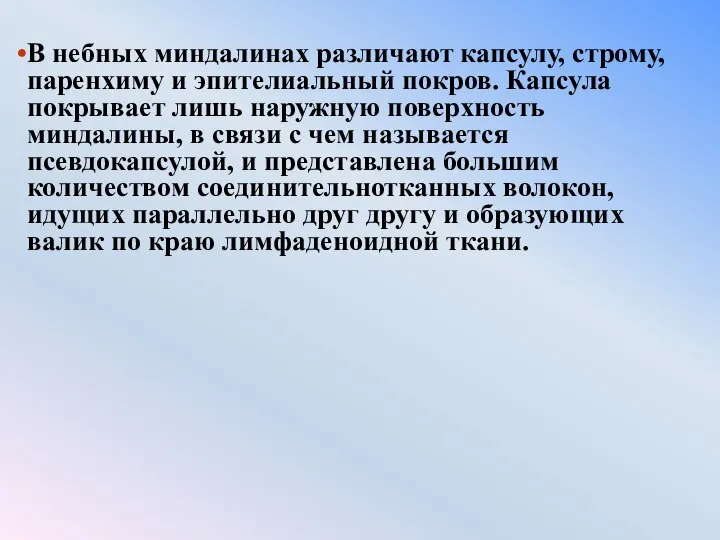 В небных миндалинах различают капсулу, строму, паренхиму и эпителиальный покров. Капсула