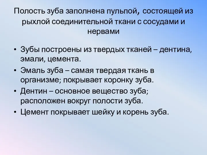 Полость зуба заполнена пульпой, состоящей из рыхлой соединительной ткани с сосудами