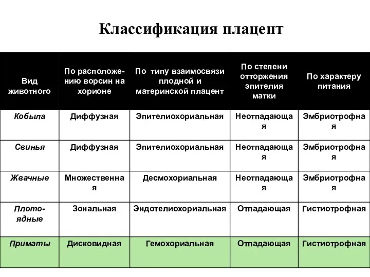 Классификация плацент