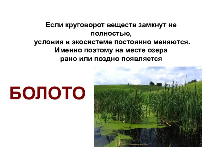 Если круговорот веществ замкнут не полностью, условия в экосистеме постоянно меняются.