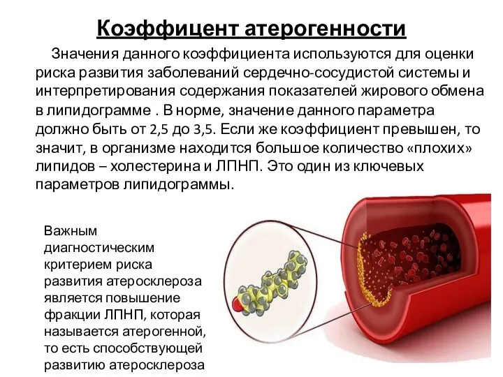 Коэффицент атерогенности Значения данного коэффициента используются для оценки риска развития заболеваний