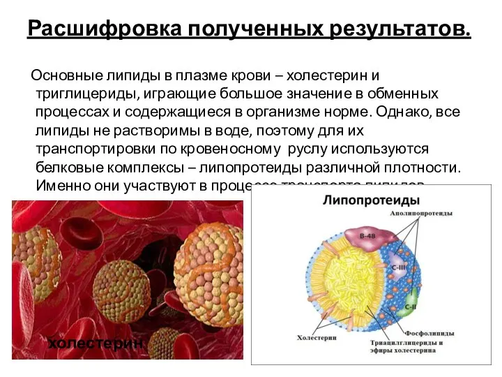 Расшифровка полученных результатов. Основные липиды в плазме крови – холестерин и