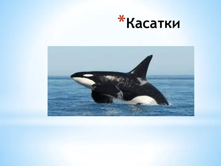 Касатки