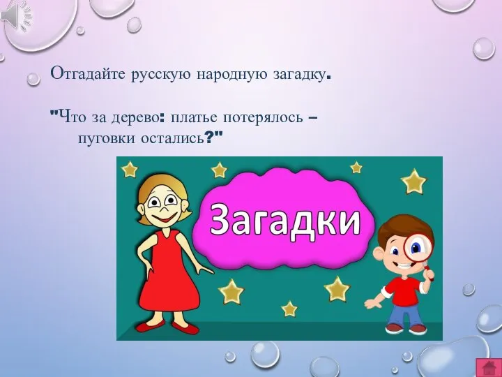 Отгадайте русскую народную загадку. "Что за дерево: платье потерялось – пуговки остались?"