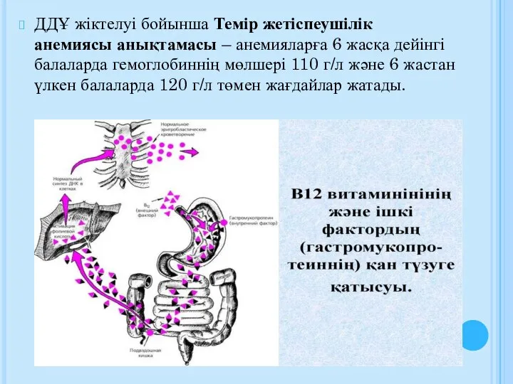 ДДҰ жіктелуі бойынша Темір жетіспеушілік анемиясы анықтамасы – анемияларға 6 жасқа