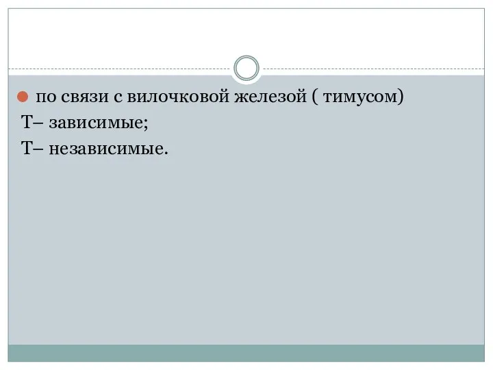 по связи с вилочковой железой ( тимусом) Т– зависимые; Т– независимые.