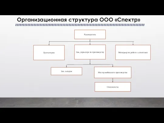 Организационная структура ООО «Спектр»