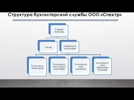 Структура бухгалтерской службы ООО «Спектр»