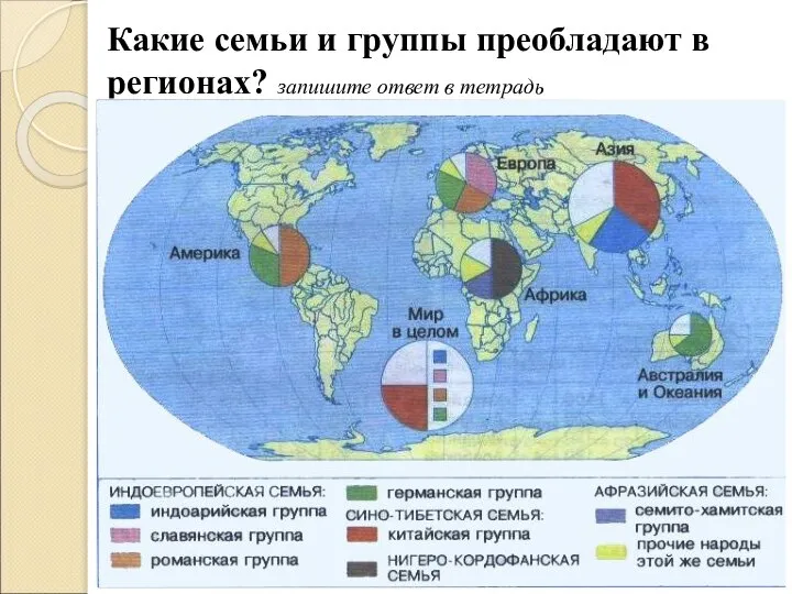 Какие семьи и группы преобладают в регионах? запишите ответ в тетрадь