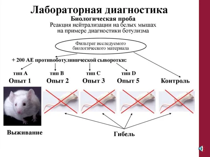 Большой заголовок